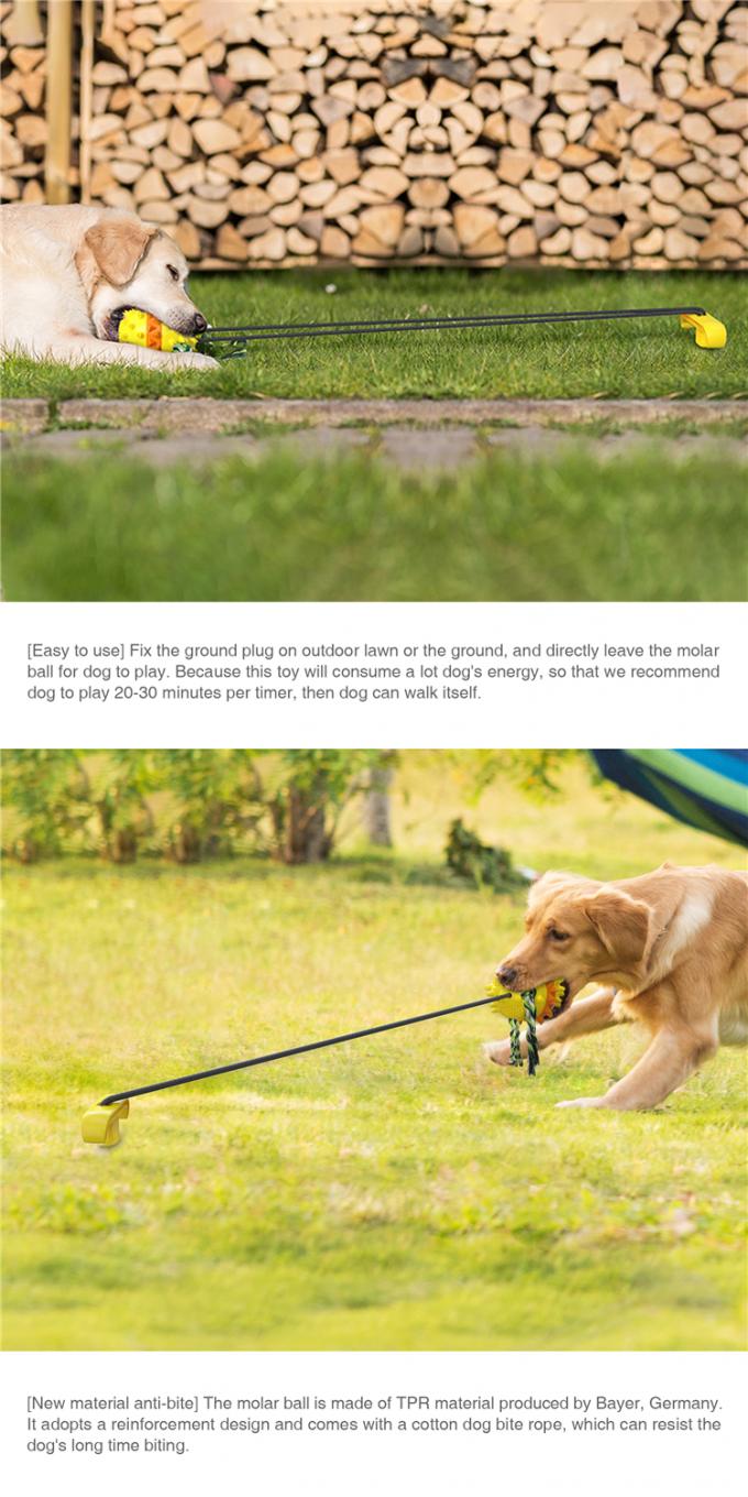 Bola bem-desenvolvida de Toy Outdoor Water Dog Chewing do animal de estimação com a bola de limpeza do dente de cão da corda do retentor