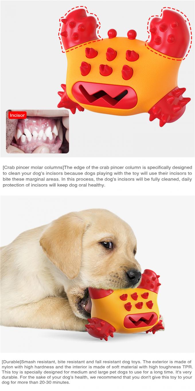 Do molar protetor multifuncional de Tpr do animal de estimação som de limpeza da mordida do molar da escova de dentes que mastiga o brinquedo do cão do divertimento