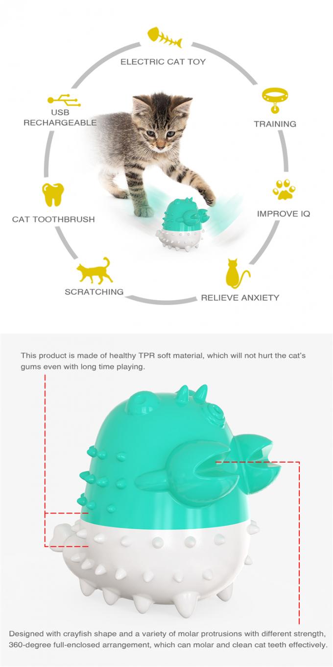 A lagosta por atacado da fábrica da fonte diretamente dá forma aos dentes de Kitten Electric Toothbrush For Cat que limpam o brinquedo