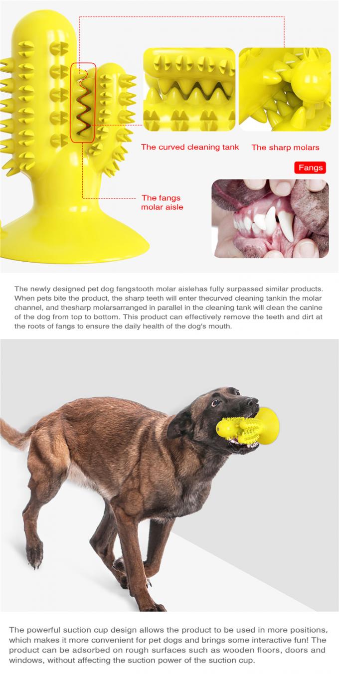 Mordida de cão de estimação Toy With Customized Service da limpeza do dente da forma do cacto