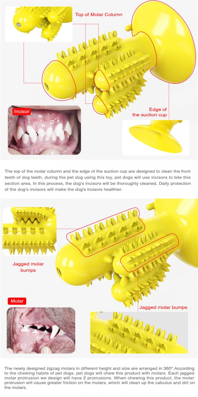 Mordida de cão de estimação Toy With Customized Service da limpeza do dente da forma do cacto